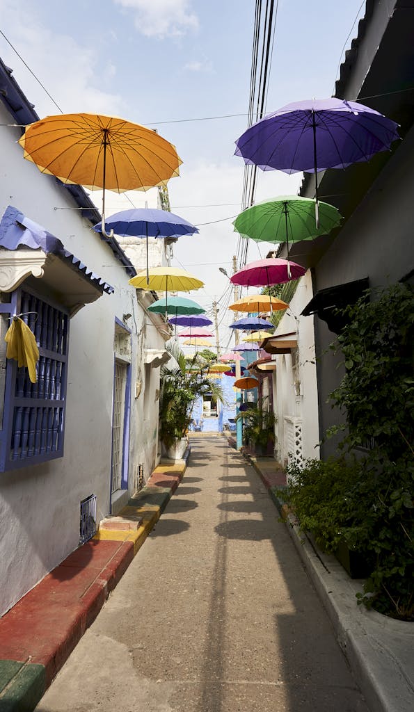 Vibrant umbrellas suspended above a charming alley in Cartagena, Colombia.