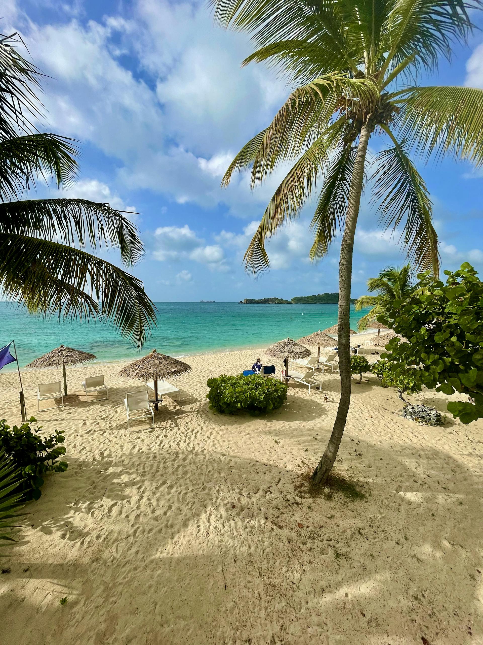 Palm trees and turquoise waters on a sandy beach in Antigua, perfect for a tropical getaway.